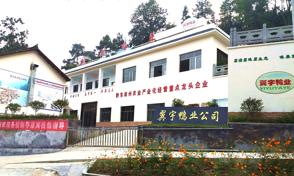 翼宇鸭业公司
